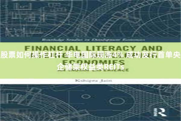 股票如何操作杠杆 华电国际现涨4% 成功发行首单央企储架权益类REITs