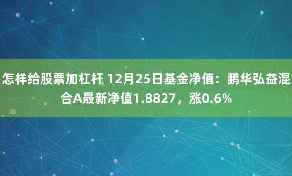 怎样给股票加杠杆 12月25日基金净值：鹏华弘益混合A最新净值1.8827，涨0.6%