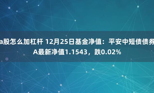 a股怎么加杠杆 12月25日基金净值：平安中短债债券A最新净值1.1543，跌0.02%