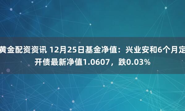 黄金配资资讯 12月25日基金净值：兴业安和6个月定开债最新净值1.0607，跌0.03%