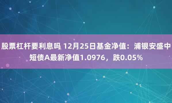 股票杠杆要利息吗 12月25日基金净值：浦银安盛中短债A最新净值1.0976，跌0.05%