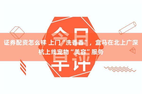 证券配资怎么样 上门“洗香香”，盒马在北上广深杭上线宠物“美容”服务