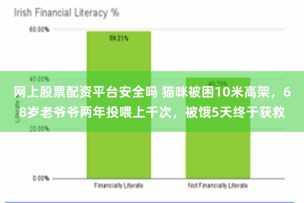 网上股票配资平台安全吗 猫咪被困10米高架，68岁老爷爷两年投喂上千次，被饿5天终于获救